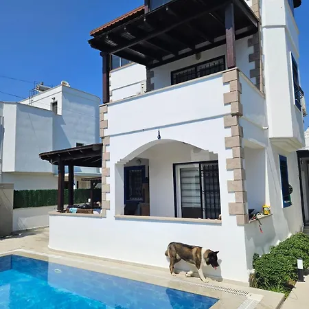 Villa A Turgutreis *